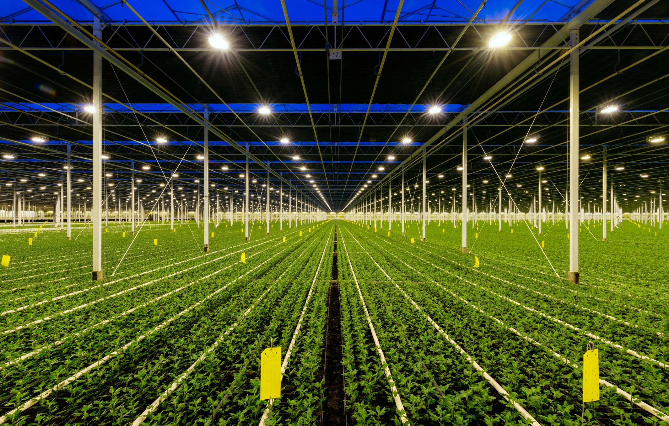 Agent Herb greenhouse environment